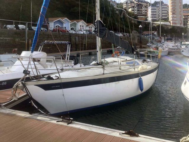 Aloa 29 1