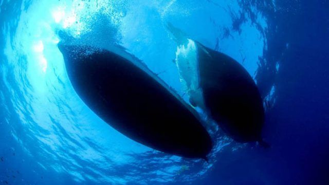 Barcas imagen submarina