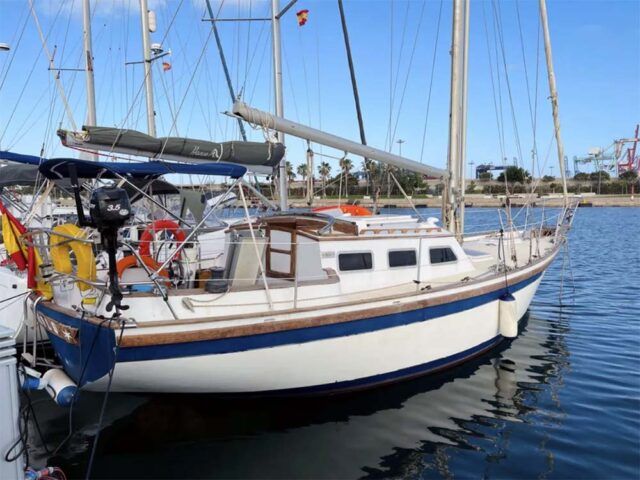 Belliure 37 1