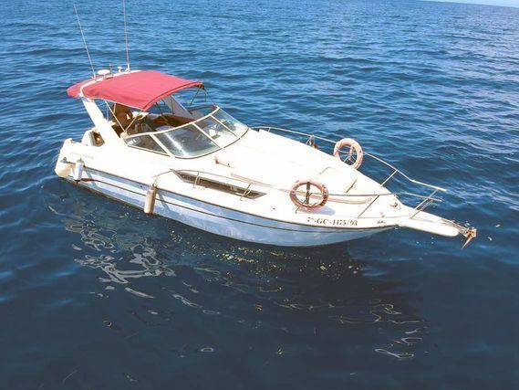 Chaparral Signature 28 1
