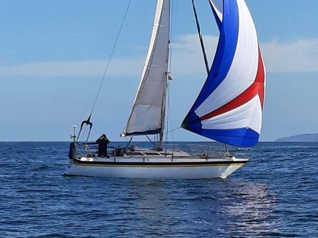 Noray 31 Portada