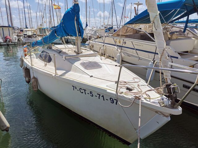 Serviola 23 1