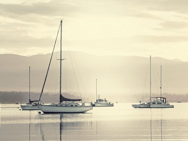 Las características del velero perfecto