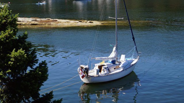 sailboat-209902_1280